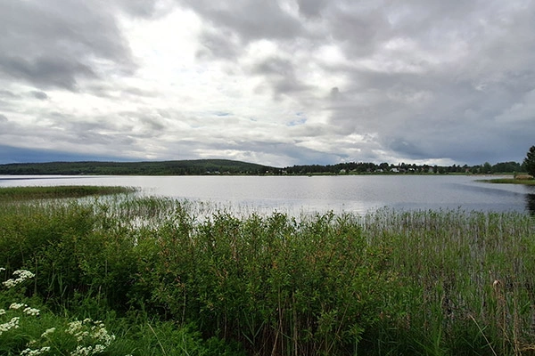 Blick auf den See Burträsket