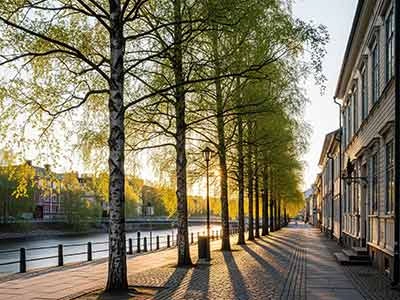 Eine von Birken gesäumte Straße in Umeå